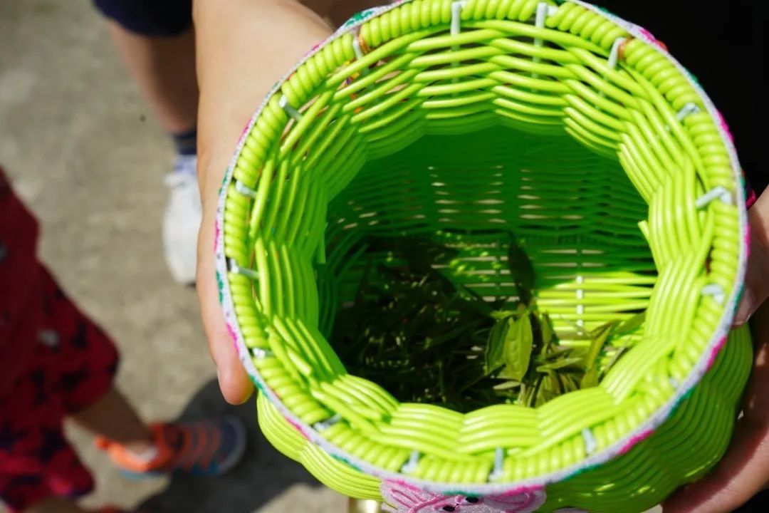 活动回顾丨在旺山遇见夏日的美好！
