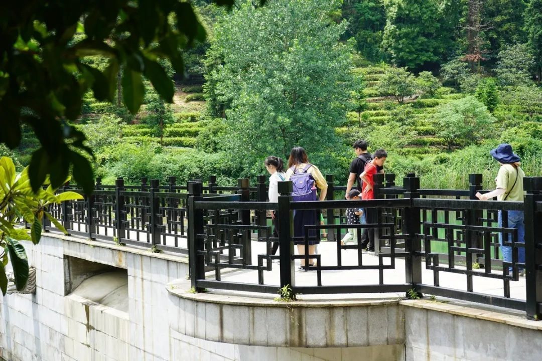 活动回顾丨在旺山遇见夏日的美好！