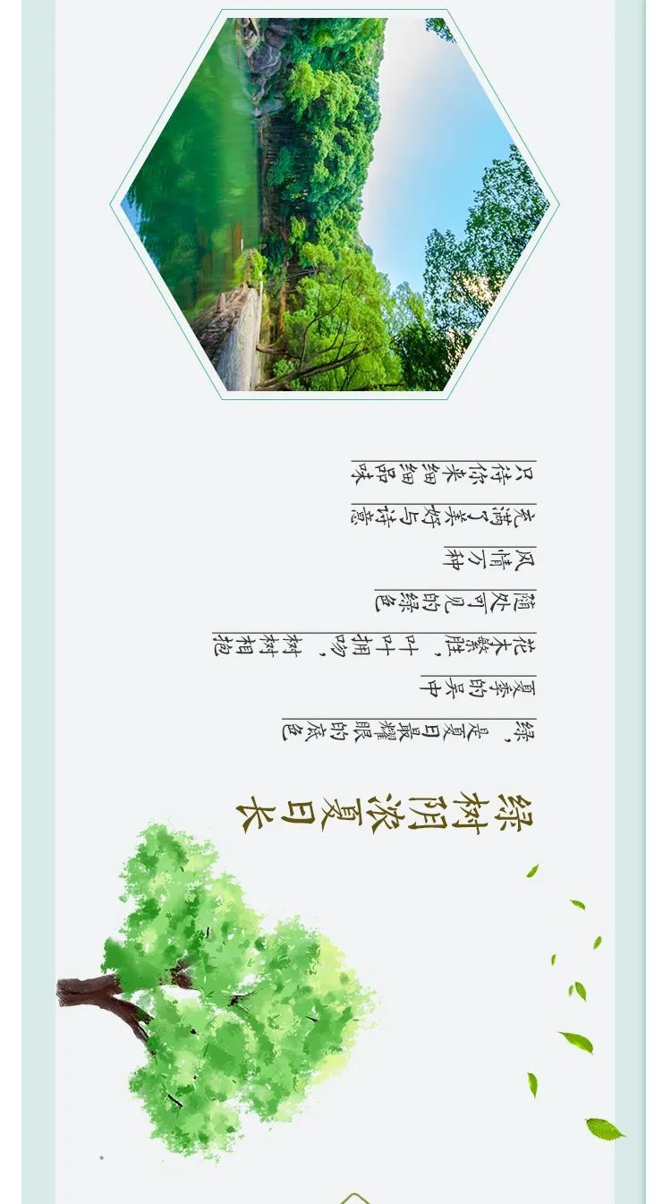 这，才是吴中夏天的样子！