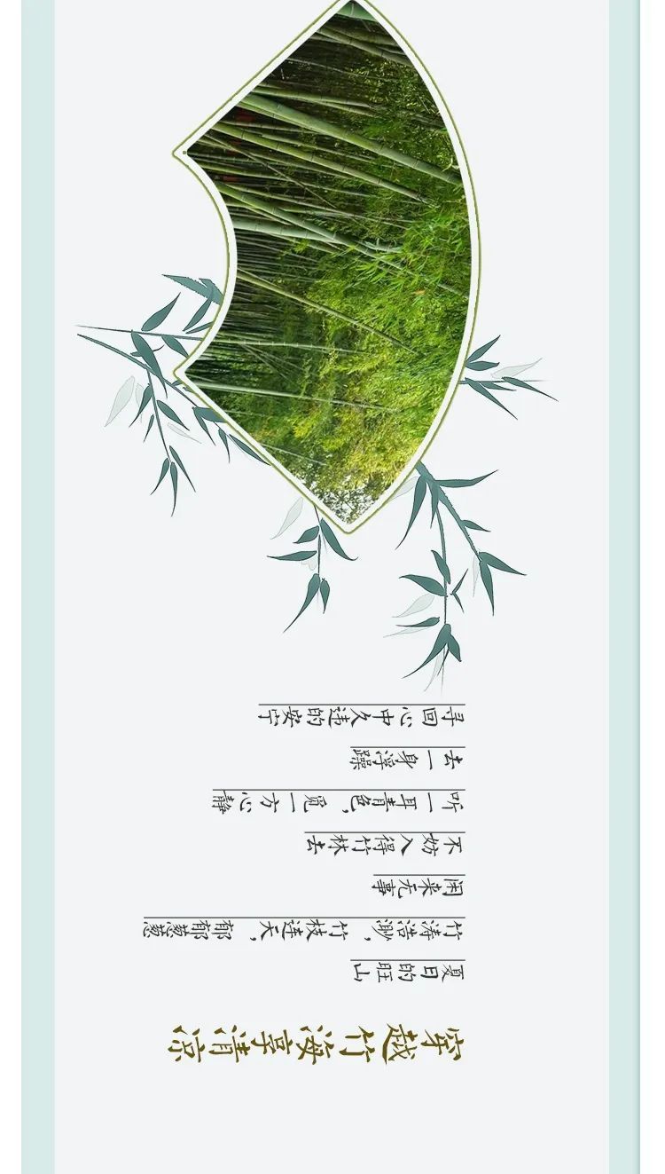这，才是吴中夏天的样子！