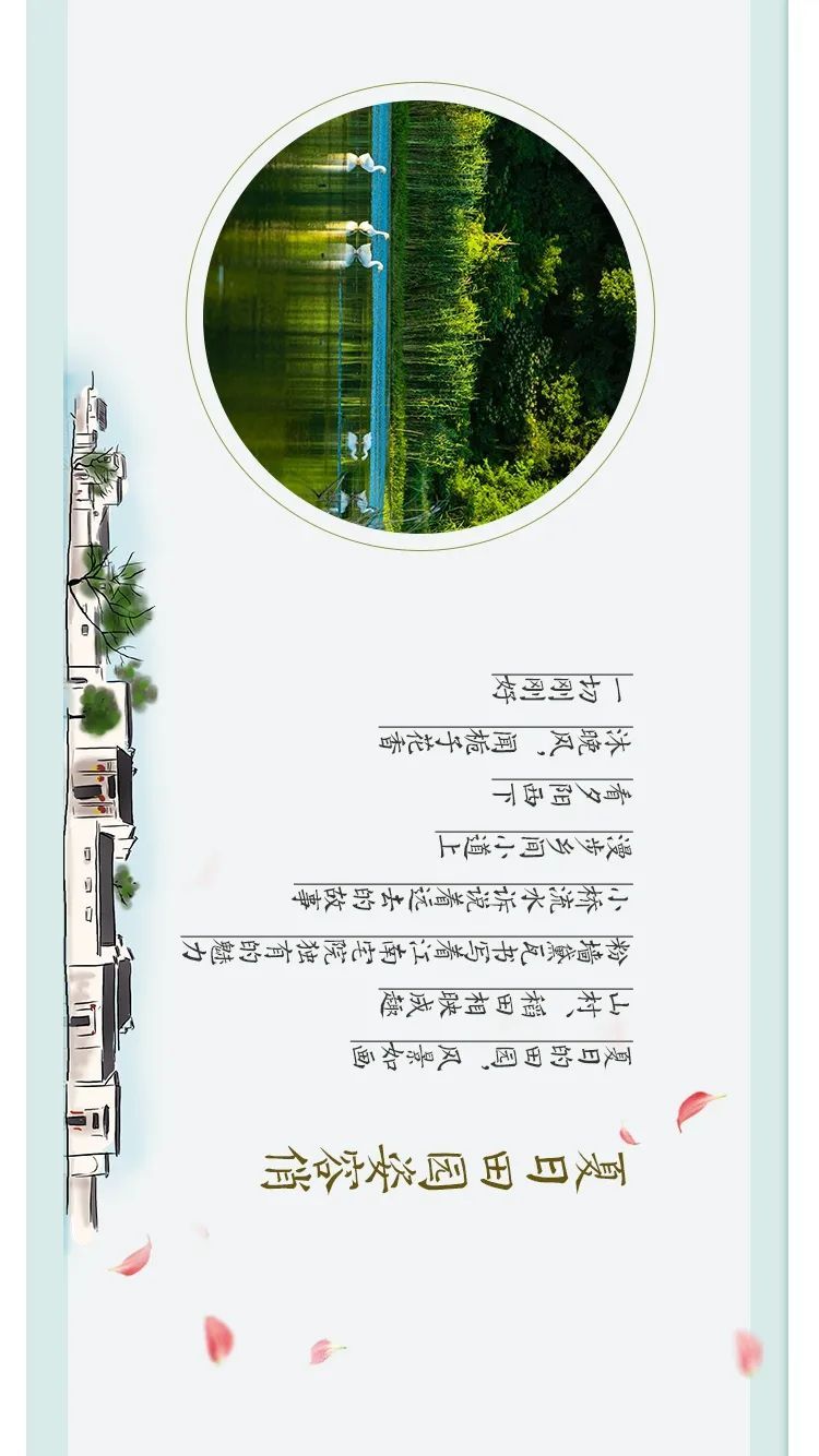这，才是吴中夏天的样子！