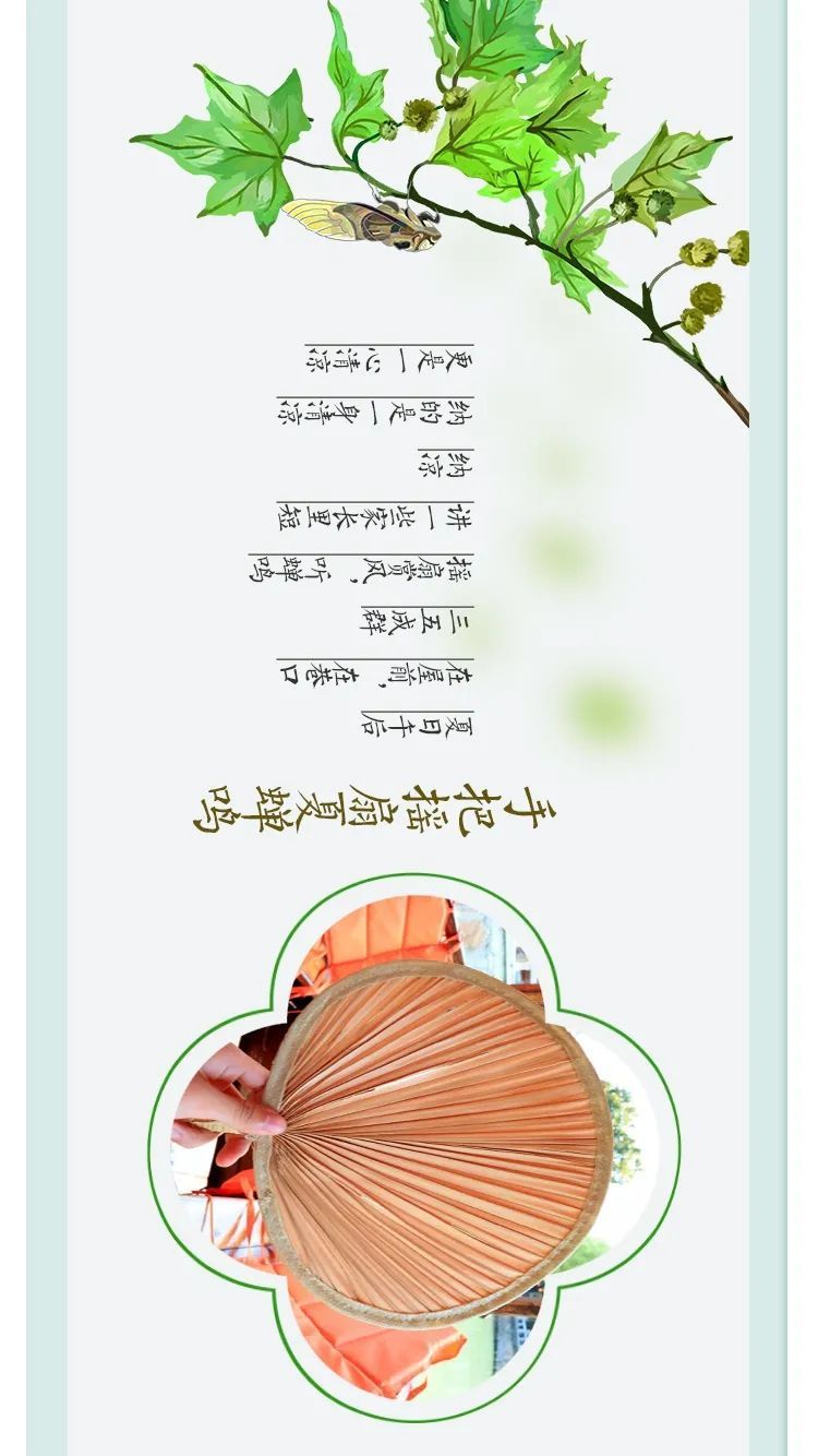 这，才是吴中夏天的样子！