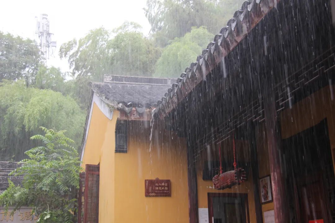空山新雨后，灵动在山间
