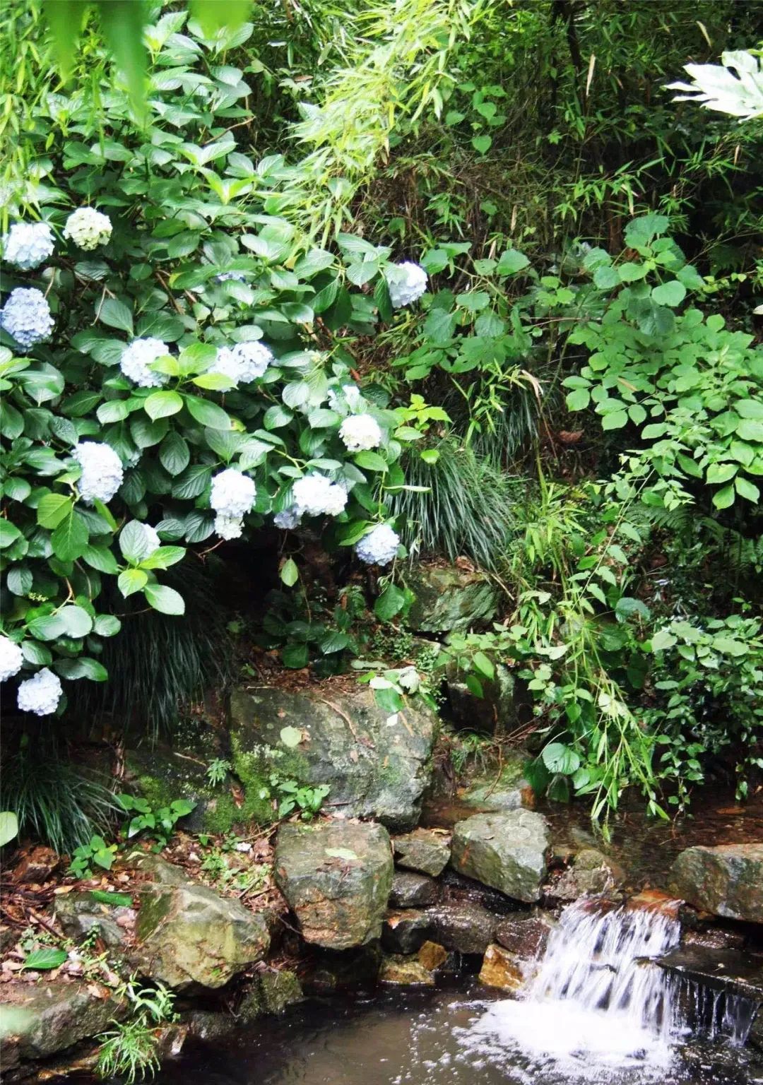空山新雨后，灵动在山间