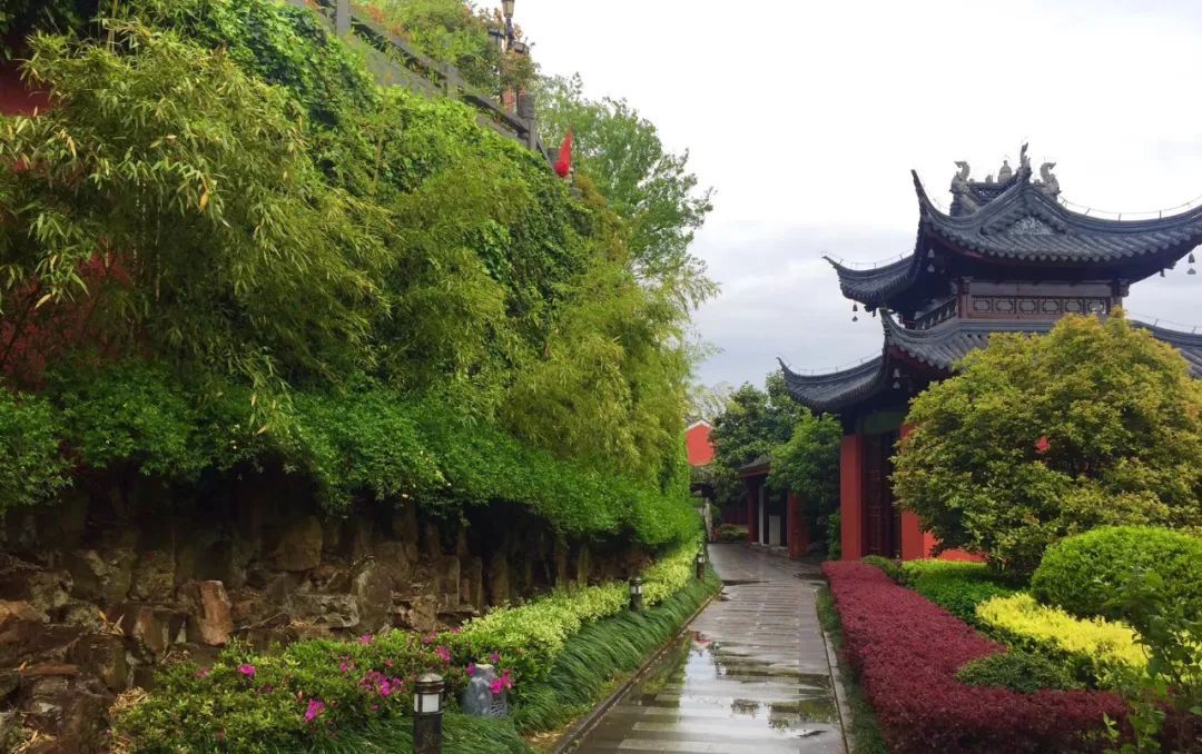 空山新雨后，灵动在山间
