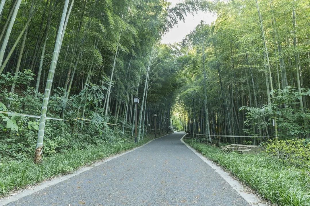 毕业季，你的旅行目的地在这里！