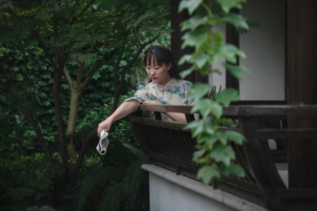 这里的荷花“拍了拍”你，清凉一夏，“荷”你有约！