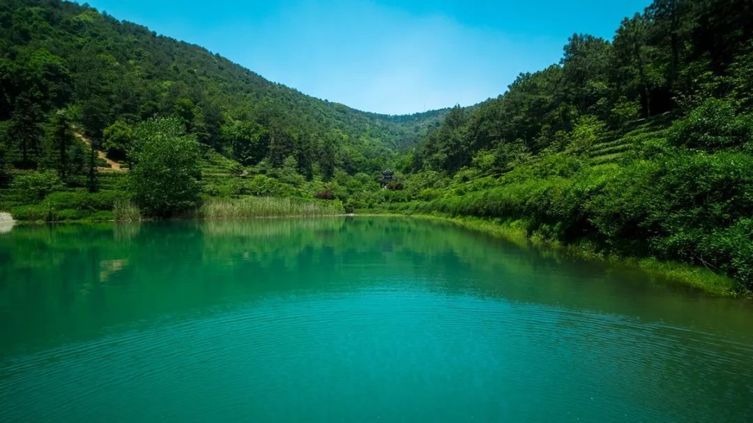 诗意栖居丨菡莀烟雨外，长亭古道边