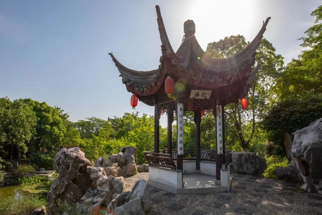 夏日“凉”方，看这里！