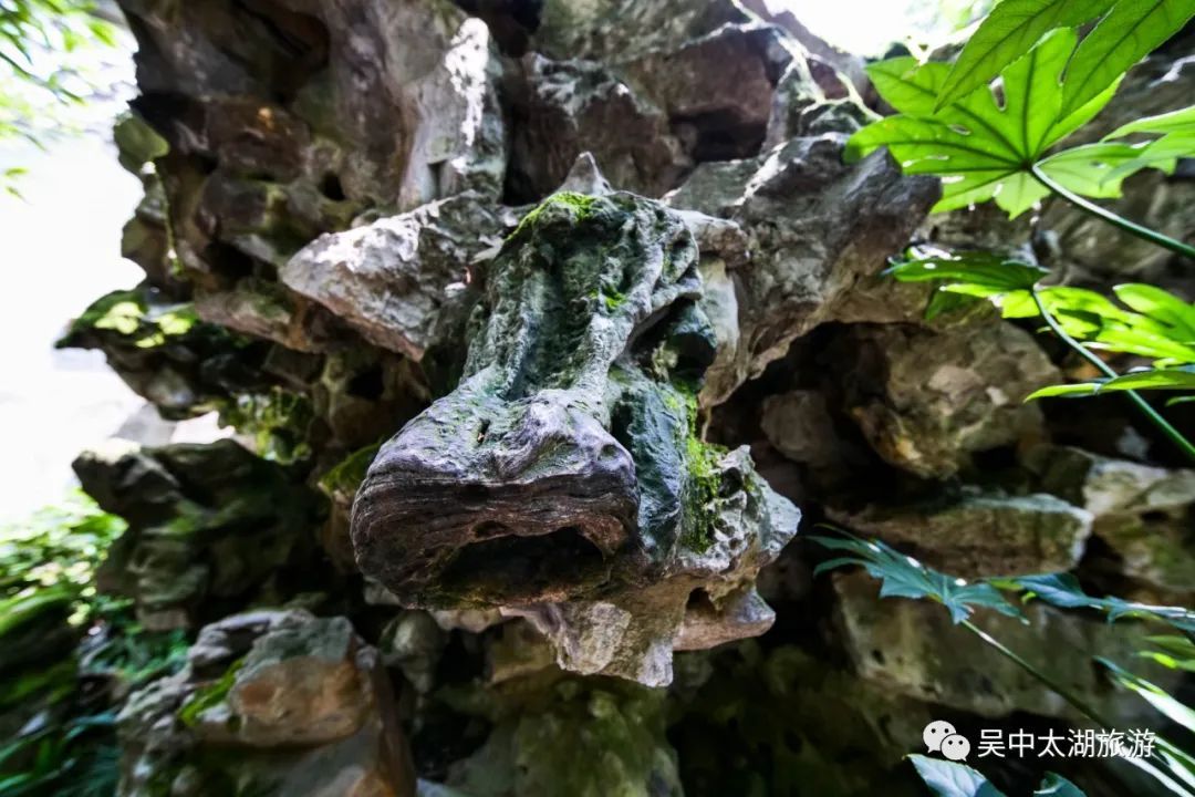 私藏在老宅里的夏日美食，原来是这个滋味！