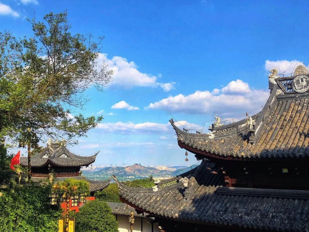 穹窿沁凉季，森林童玩趣