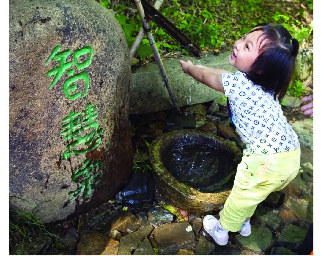 穹窿沁凉季，森林童玩趣