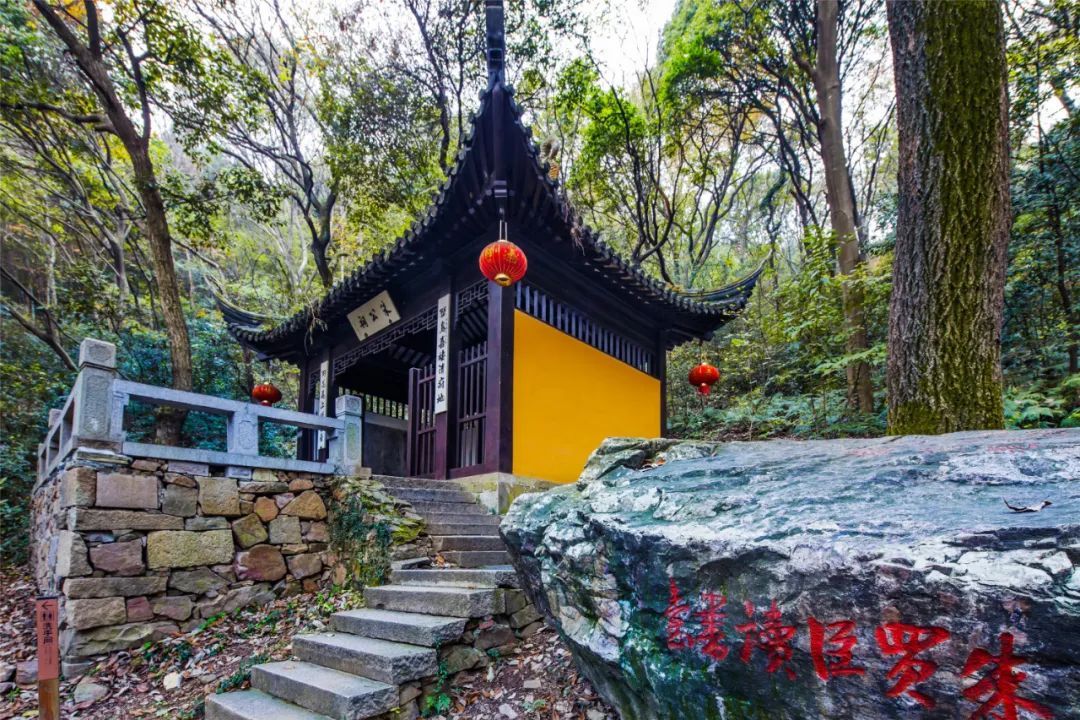 穹窿沁凉季，森林童玩趣