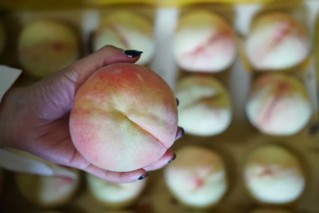 喜乐吴中丨吃一口，甜一夏！