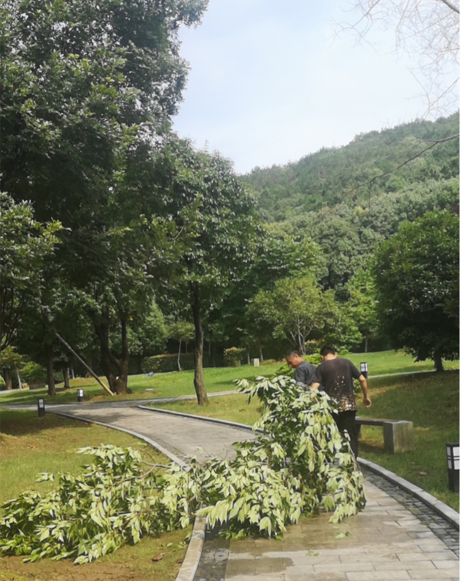 吴中防汛进行时，部分景区临时关闭