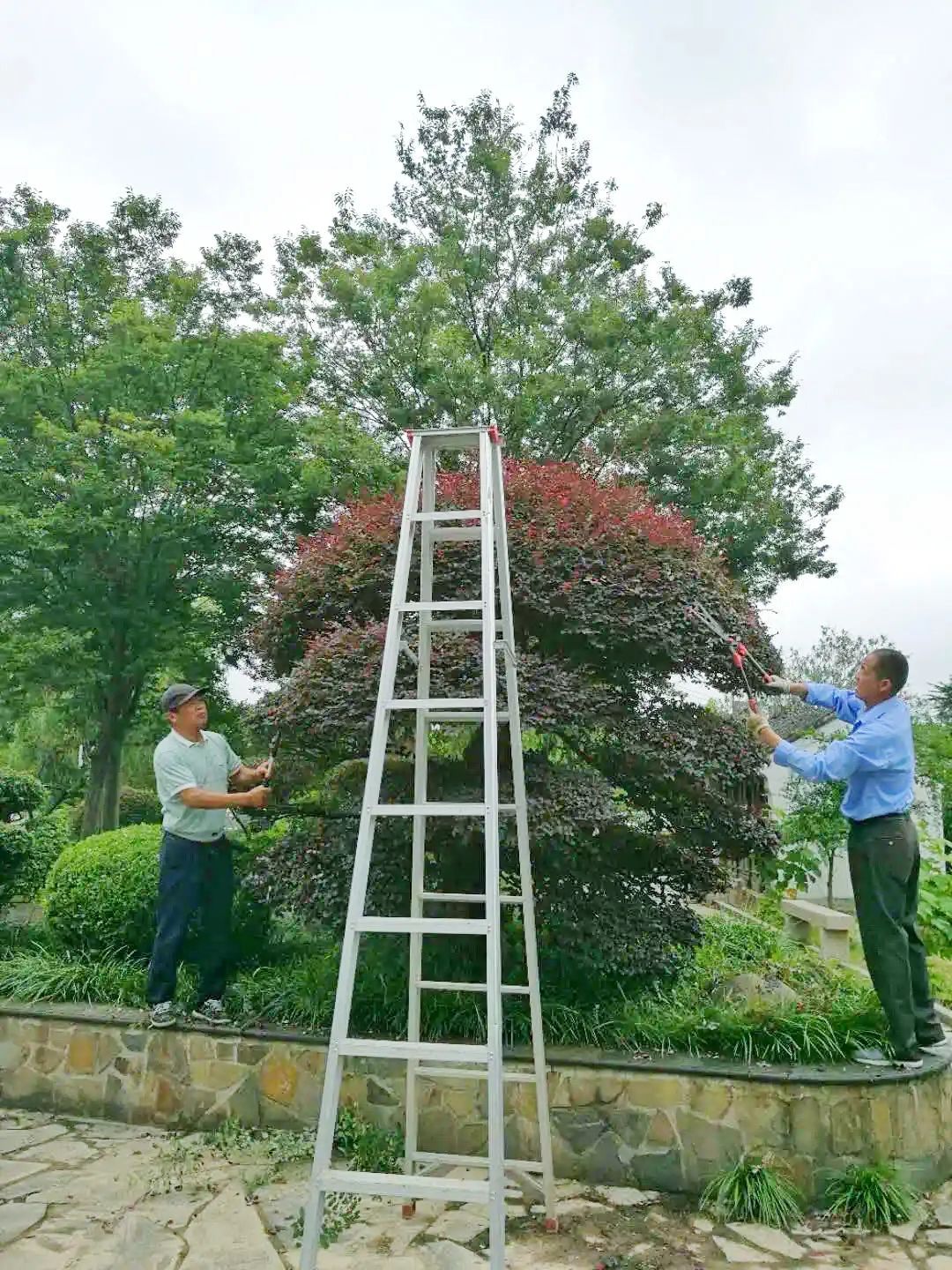 吴中防汛进行时，部分景区临时关闭