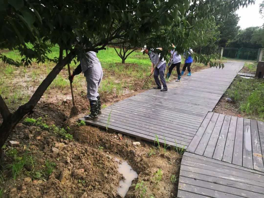 吴中防汛进行时，部分景区临时关闭