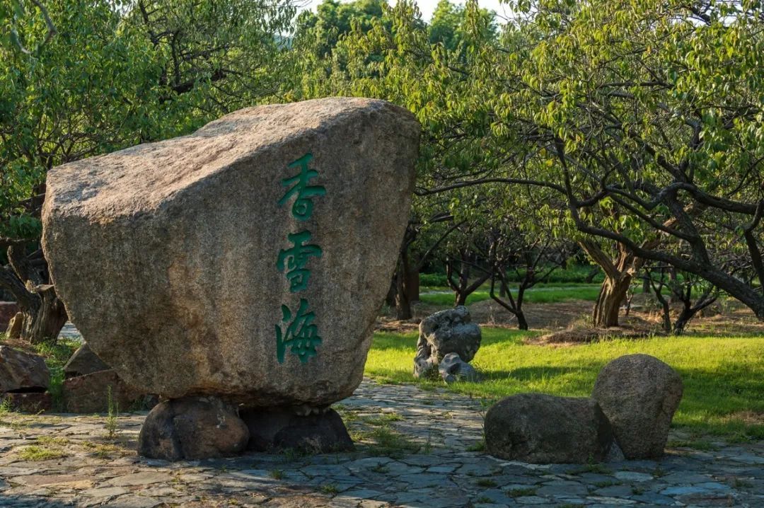 “跨省游”恢复！更好的消息在这里！