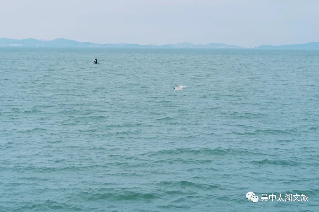 打卡苏州“小镰仓”，轻松get日系feel