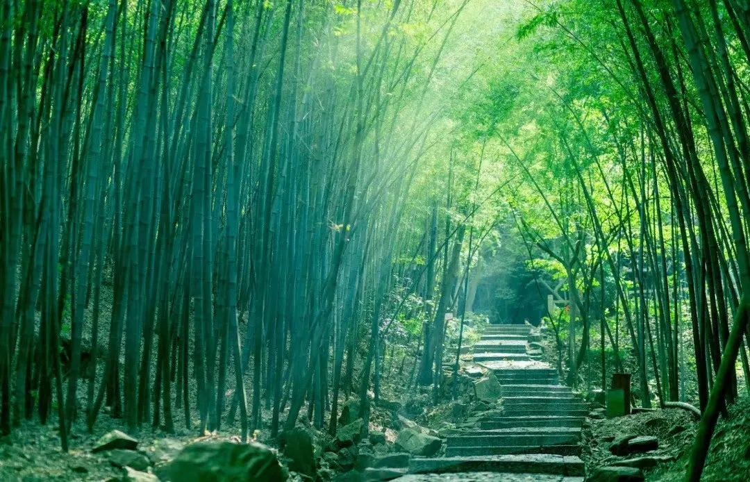 想带你去吴中的山顶吹吹风