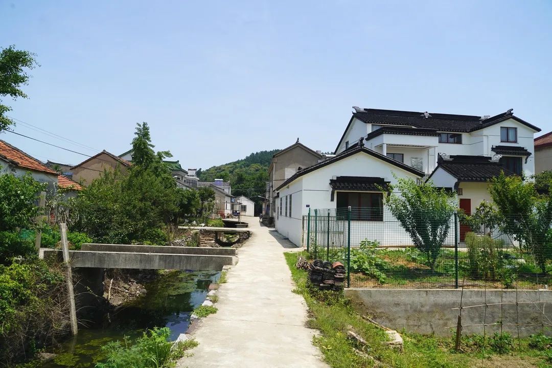 心往古村，探幽植里