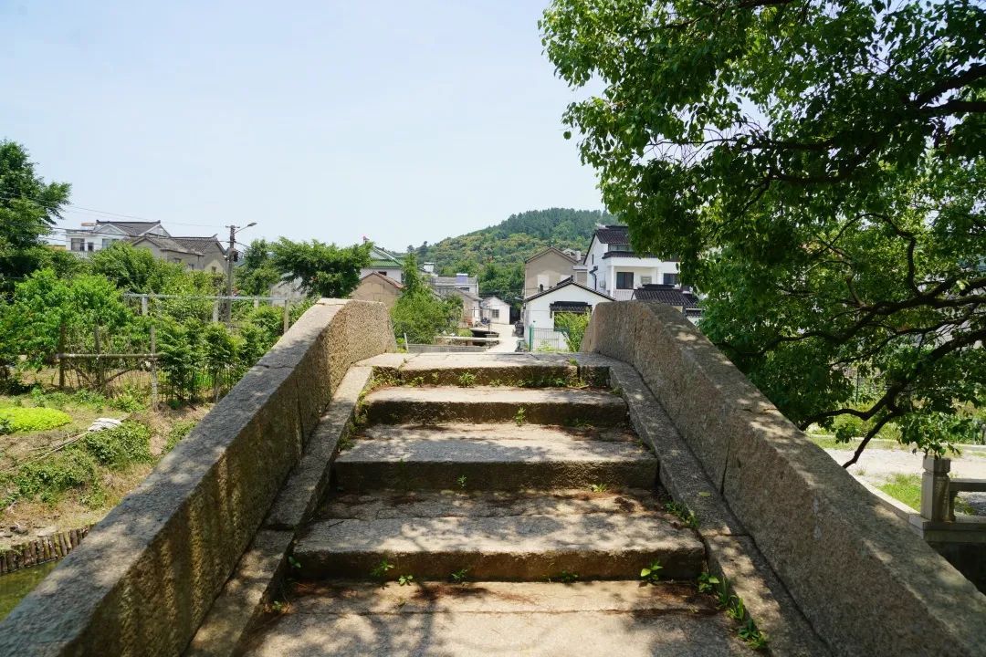 心往古村，探幽植里