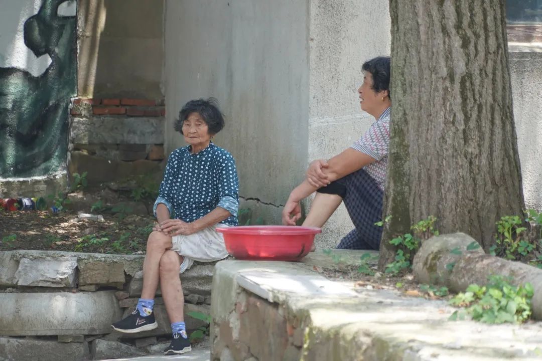 心往古村，探幽植里