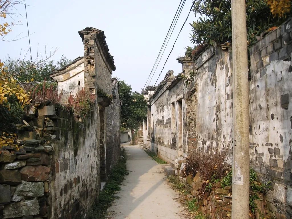 心往古村，探幽植里