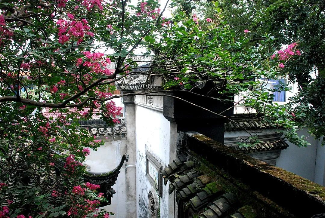 在雕花楼，赏一场“蓄谋已久”的花开