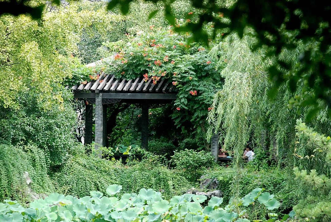 在雕花楼，赏一场“蓄谋已久”的花开