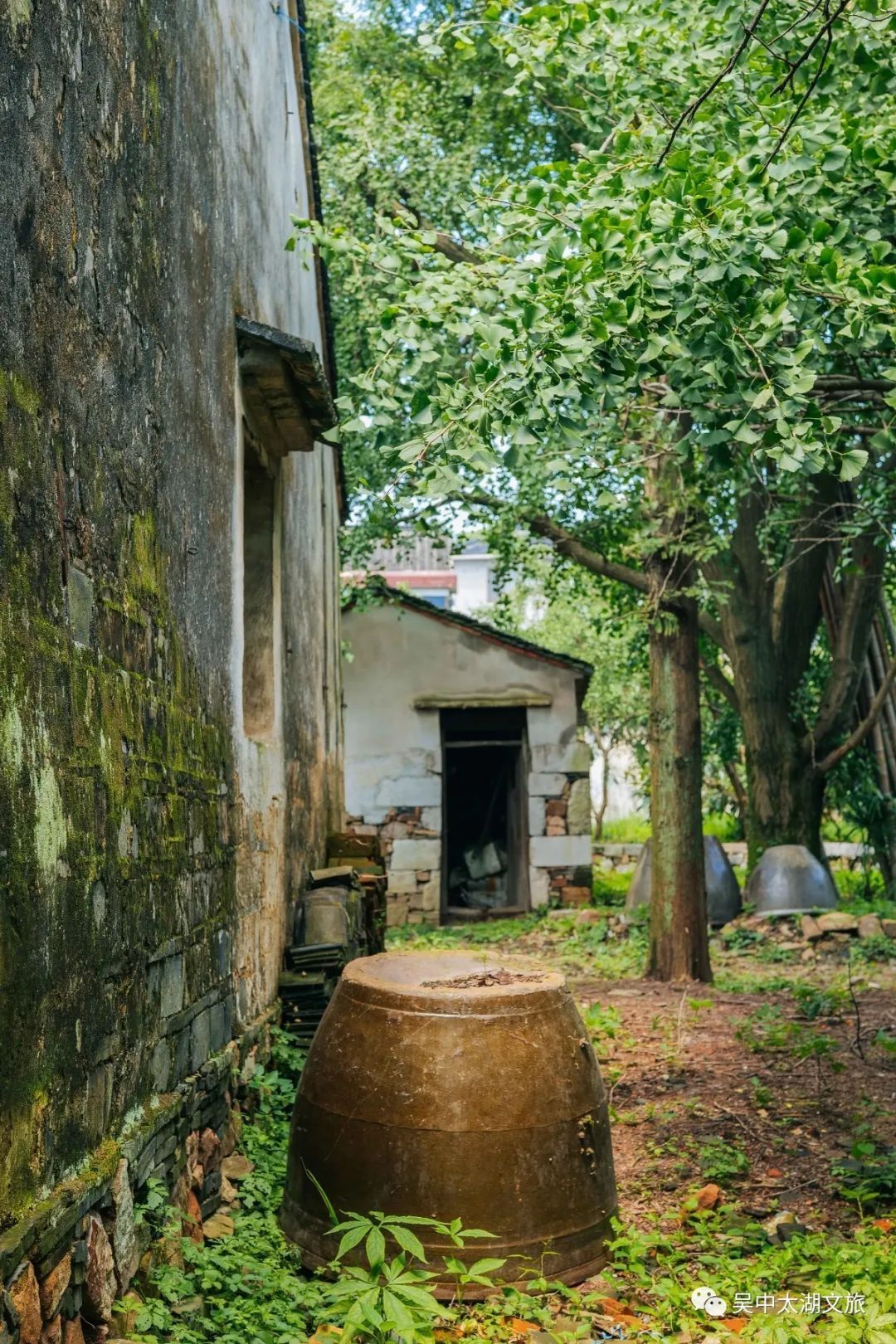 有一种夏天叫“躲”进百年村落