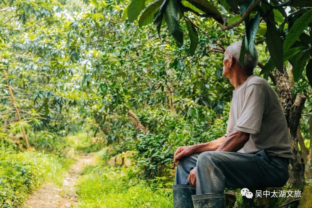 有一种夏天叫“躲”进百年村落