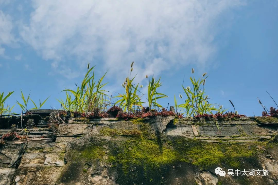 有一种夏天叫“躲”进百年村落