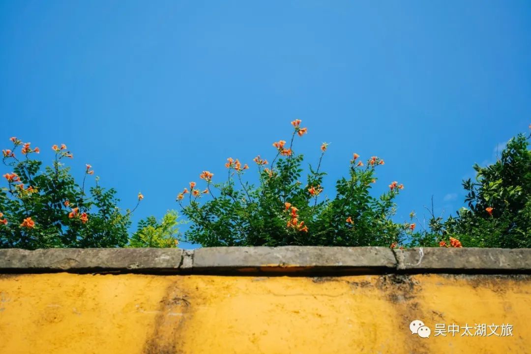 有一种夏天叫“躲”进百年村落