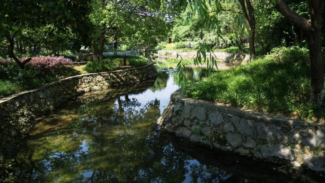 点击签收你的夏日避暑“大礼包”