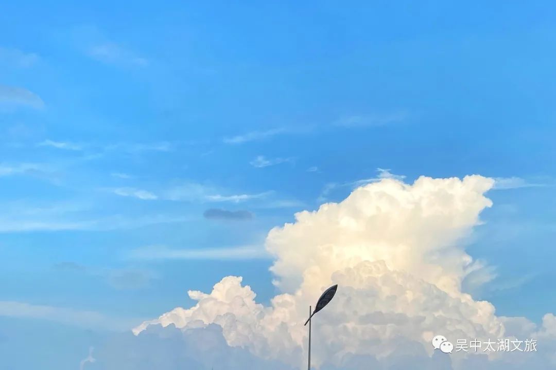 吴中蓝.jpg