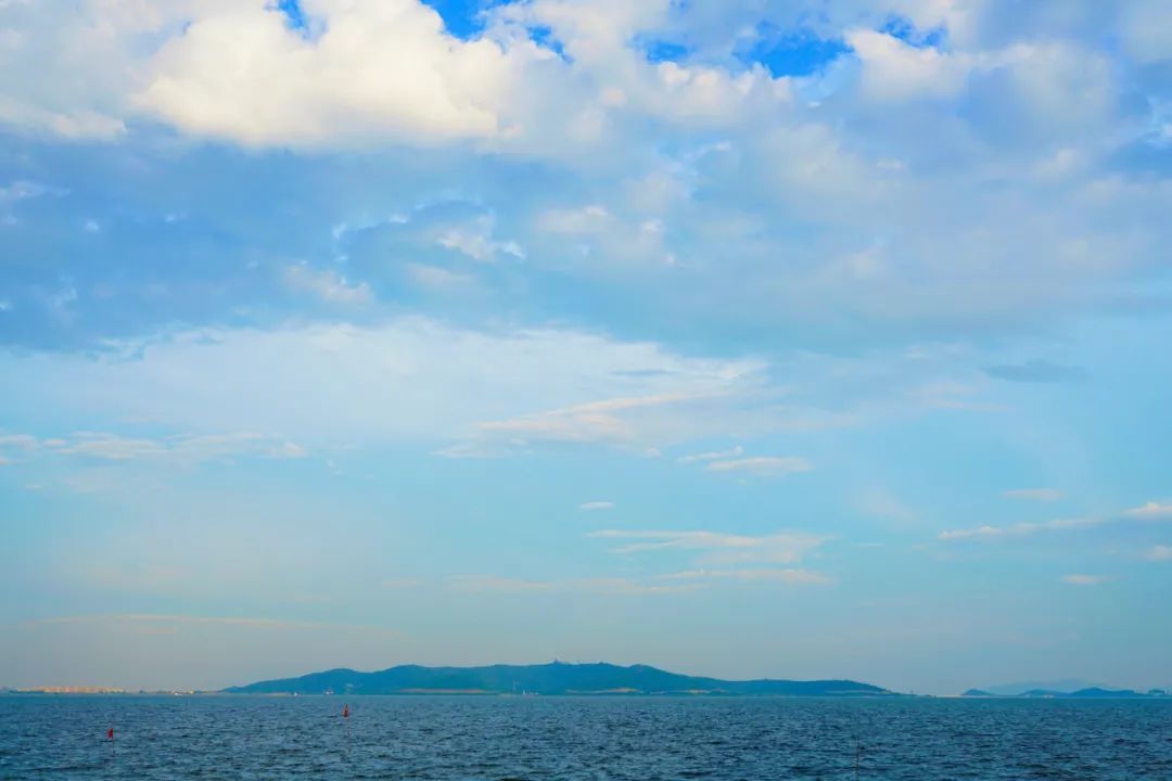 吴中蓝.jpg
