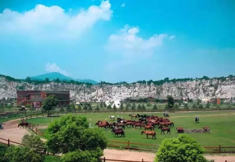 全域旅游丨夏游吴中，寻找属于你的田园生活