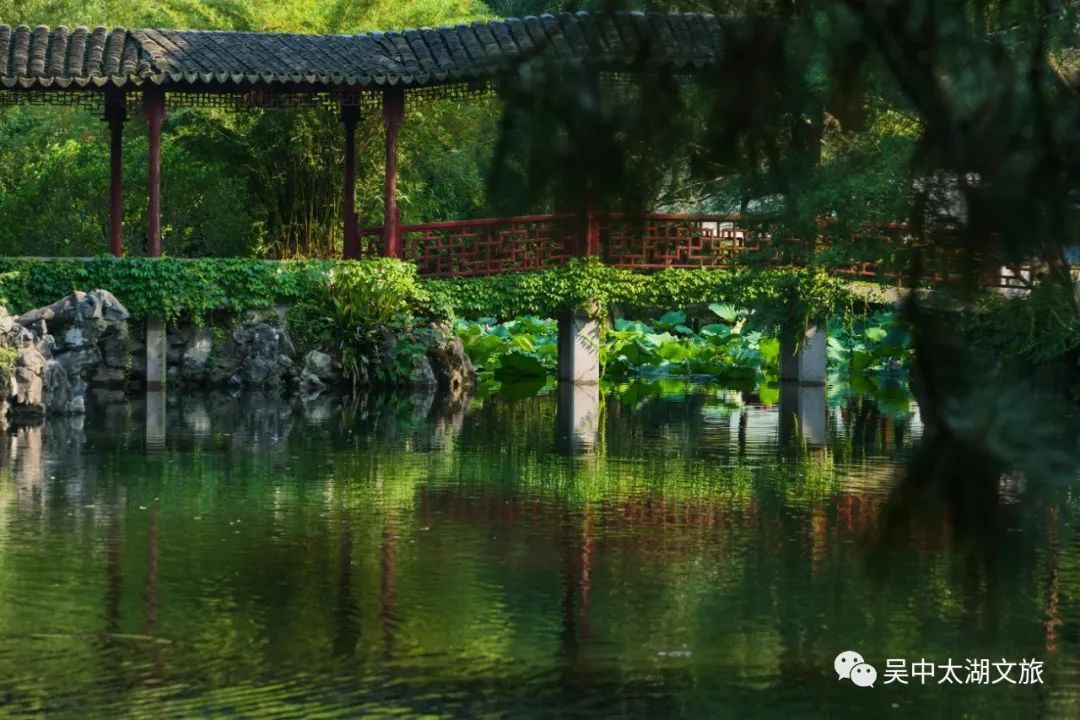 这个迎驾过康熙的地方，半价开放啦！