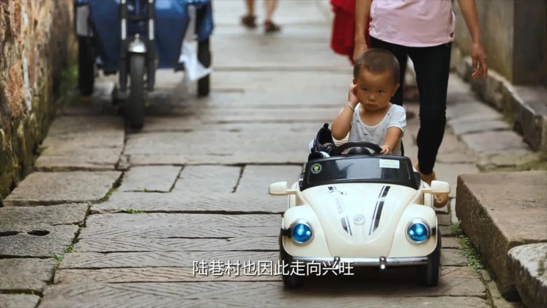 吴中“双岛”怎么玩？《游遍江苏》告诉你！