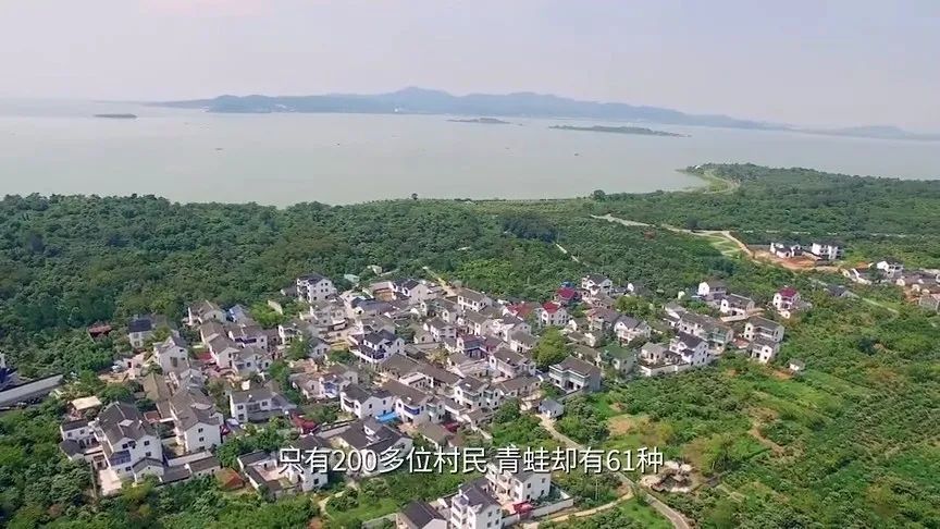 吴中“双岛”怎么玩？《游遍江苏》告诉你！