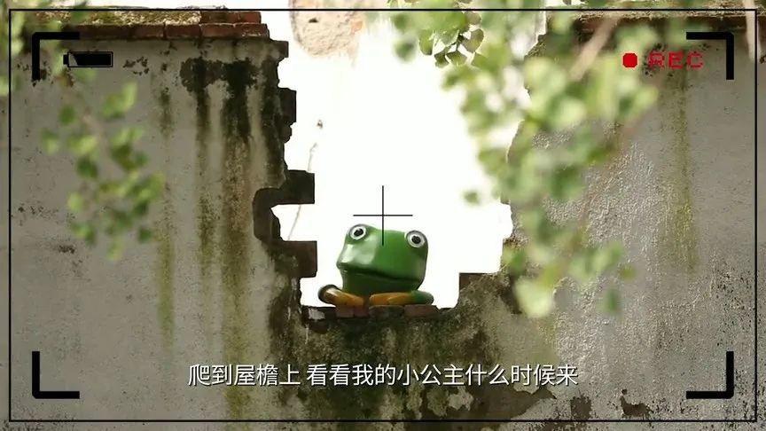 吴中“双岛”怎么玩？《游遍江苏》告诉你！