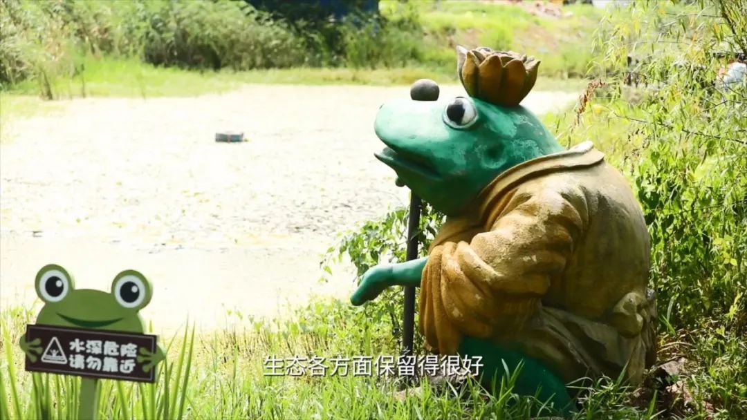 吴中“双岛”怎么玩？《游遍江苏》告诉你！