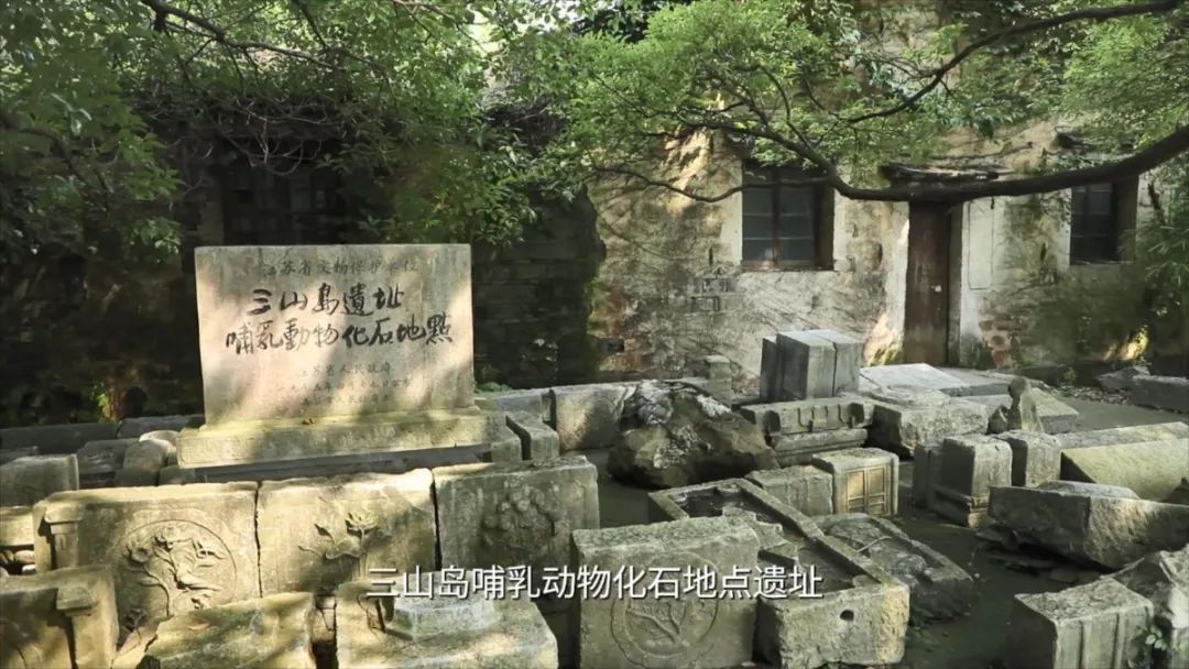 吴中“双岛”怎么玩？《游遍江苏》告诉你！