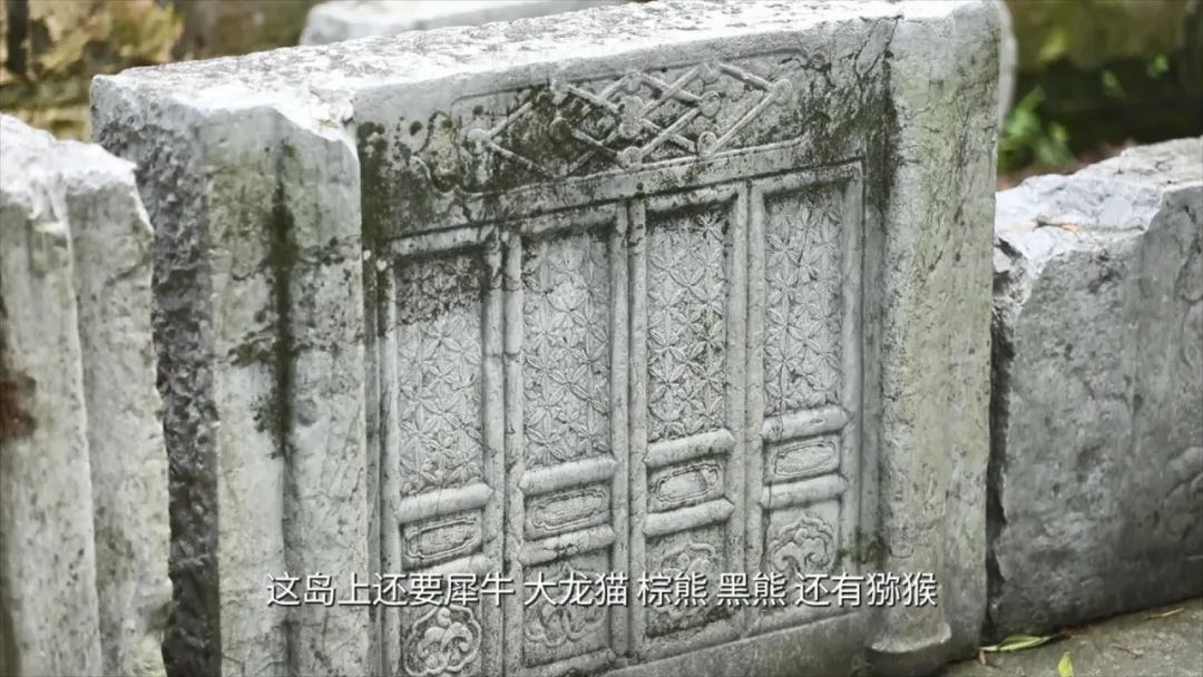 吴中“双岛”怎么玩？《游遍江苏》告诉你！