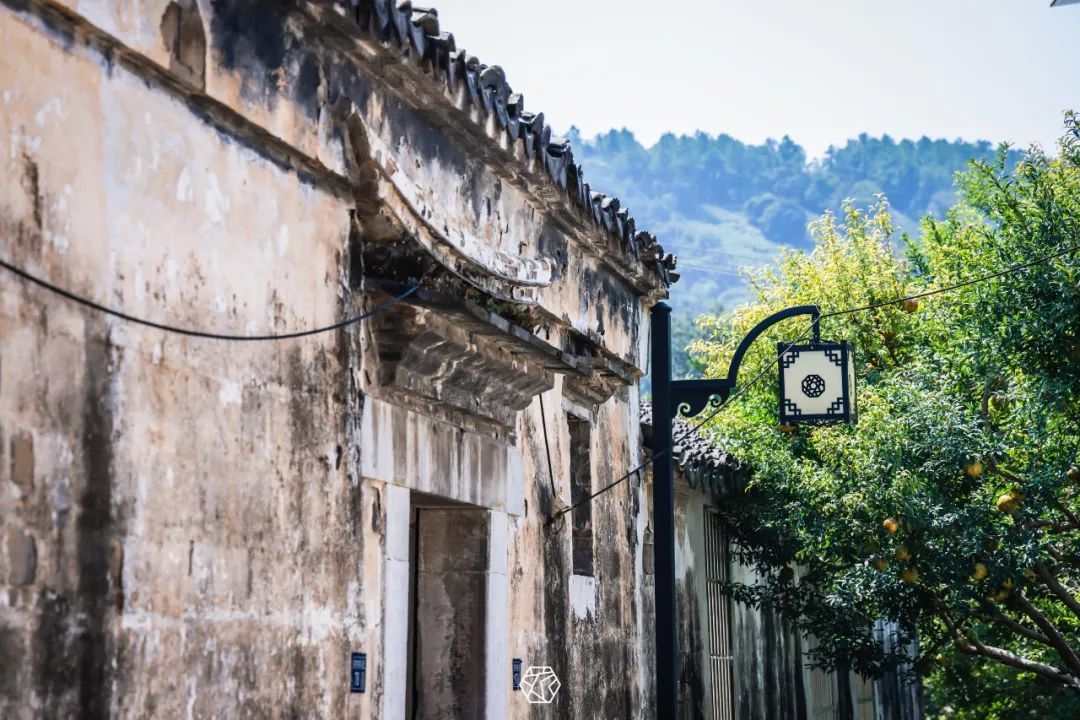 组图丨东村古村，时光在此小憩
