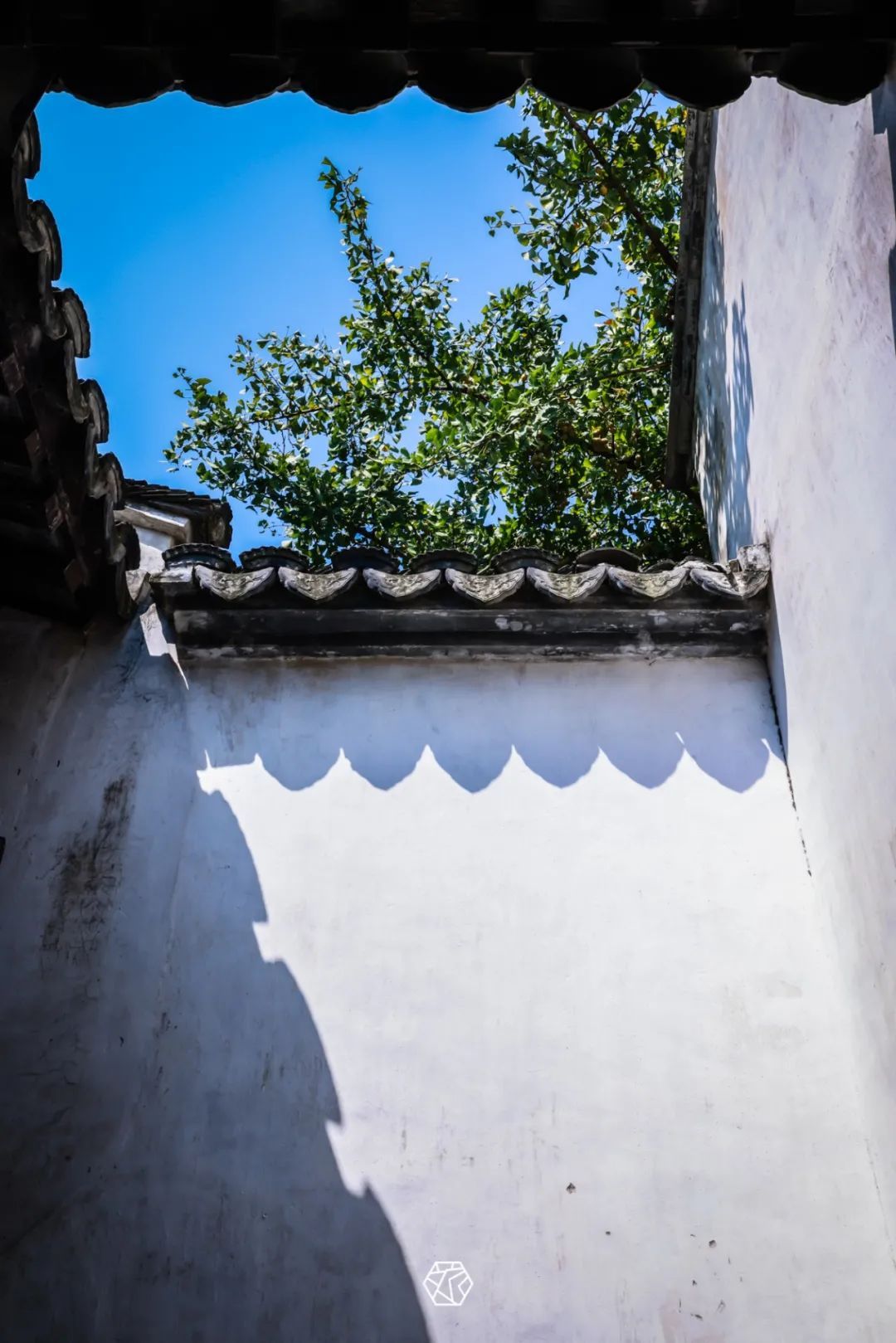 组图丨东村古村，时光在此小憩