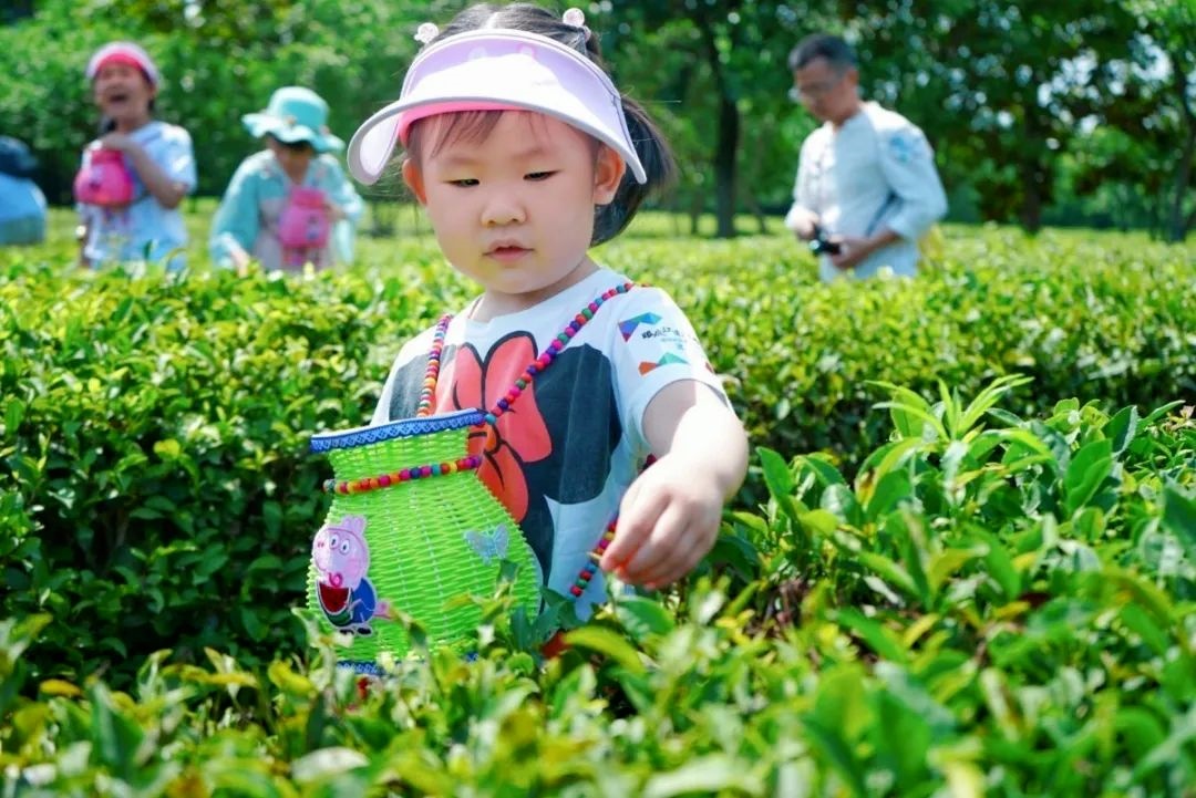厉害了！吴中2个村入选！