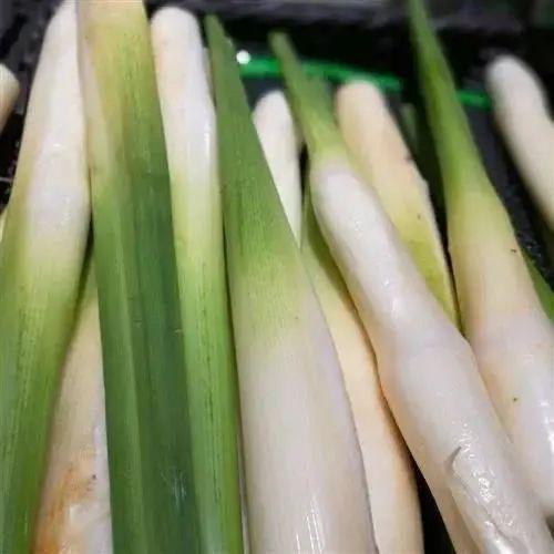 夏去秋来，扒一扒那些“贴膘”的吴中美食