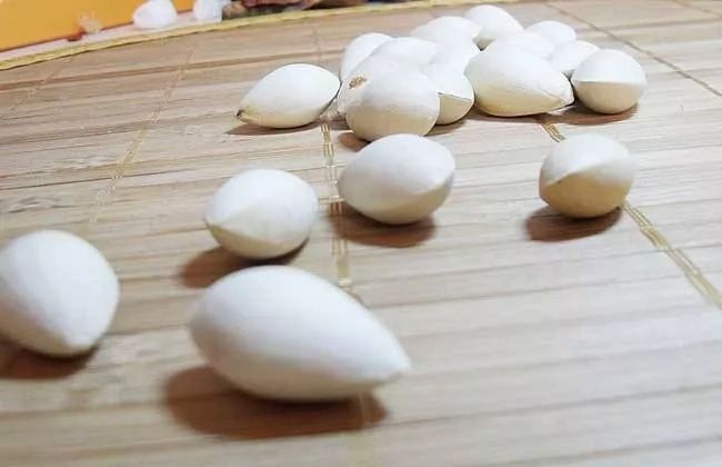 夏去秋来，扒一扒那些“贴膘”的吴中美食